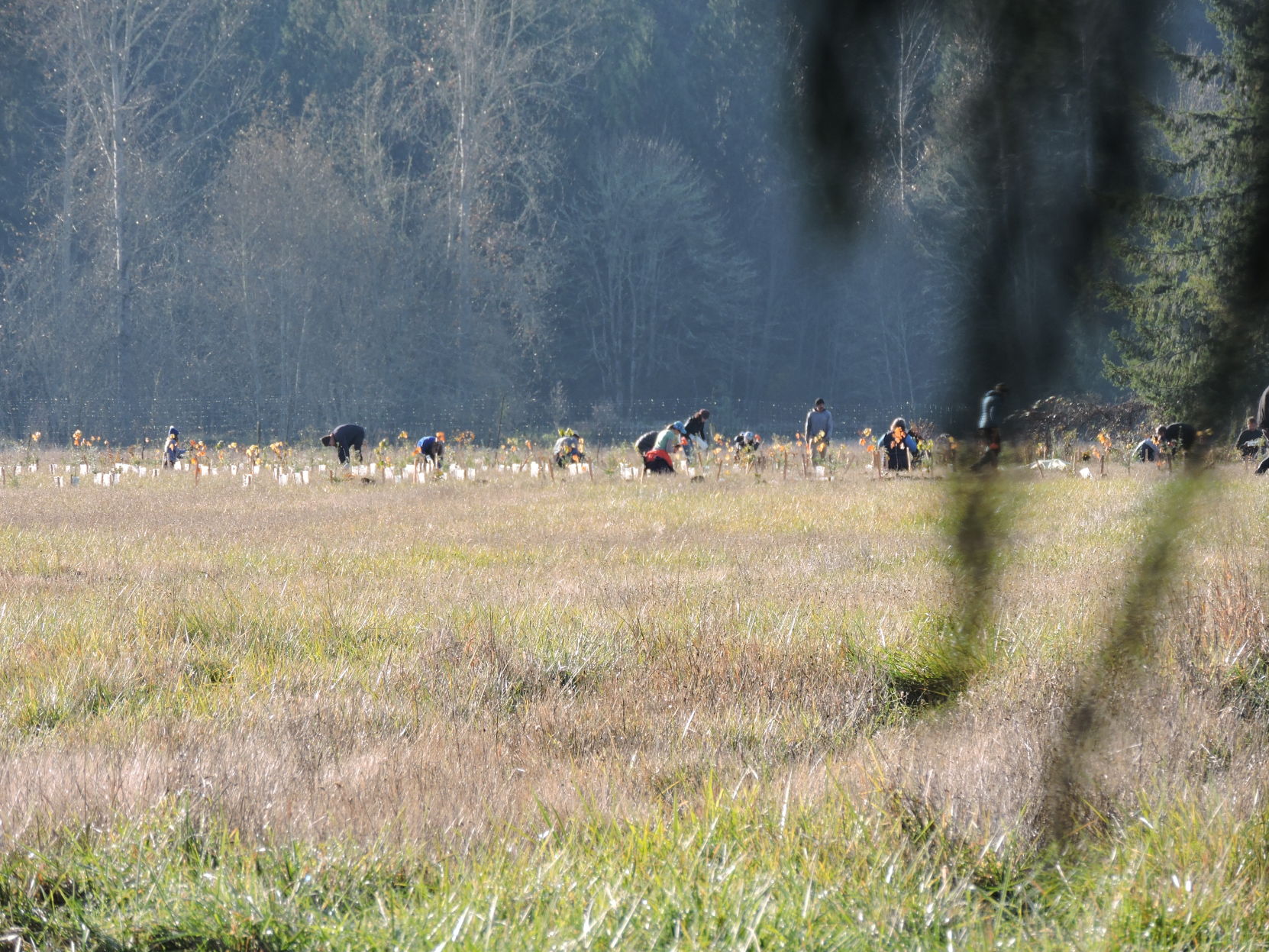 13 In the distance 1.JPG